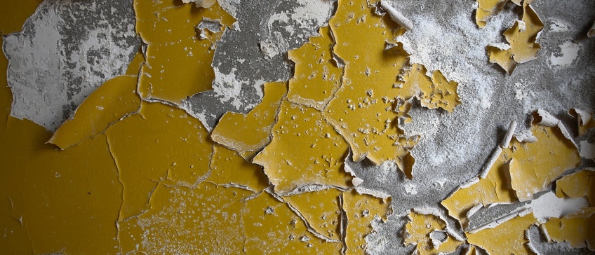 Как предотвратить шелушение краски на стенах после высыхания